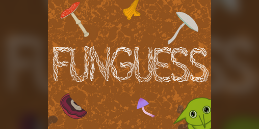 Cover image for Funguess