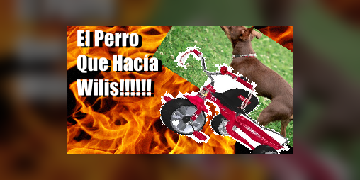 Cover image for El Perro Que Hacía Wilis!!!!!!