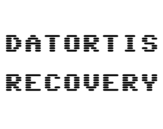 Cover image for Datortis Recovery