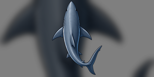 Cover image for Shark Hunt