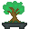 Cover image for Cataclysmic-Bonsai