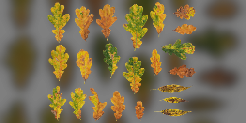 Cover image for leafSplore