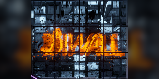 Cover image for Diwall