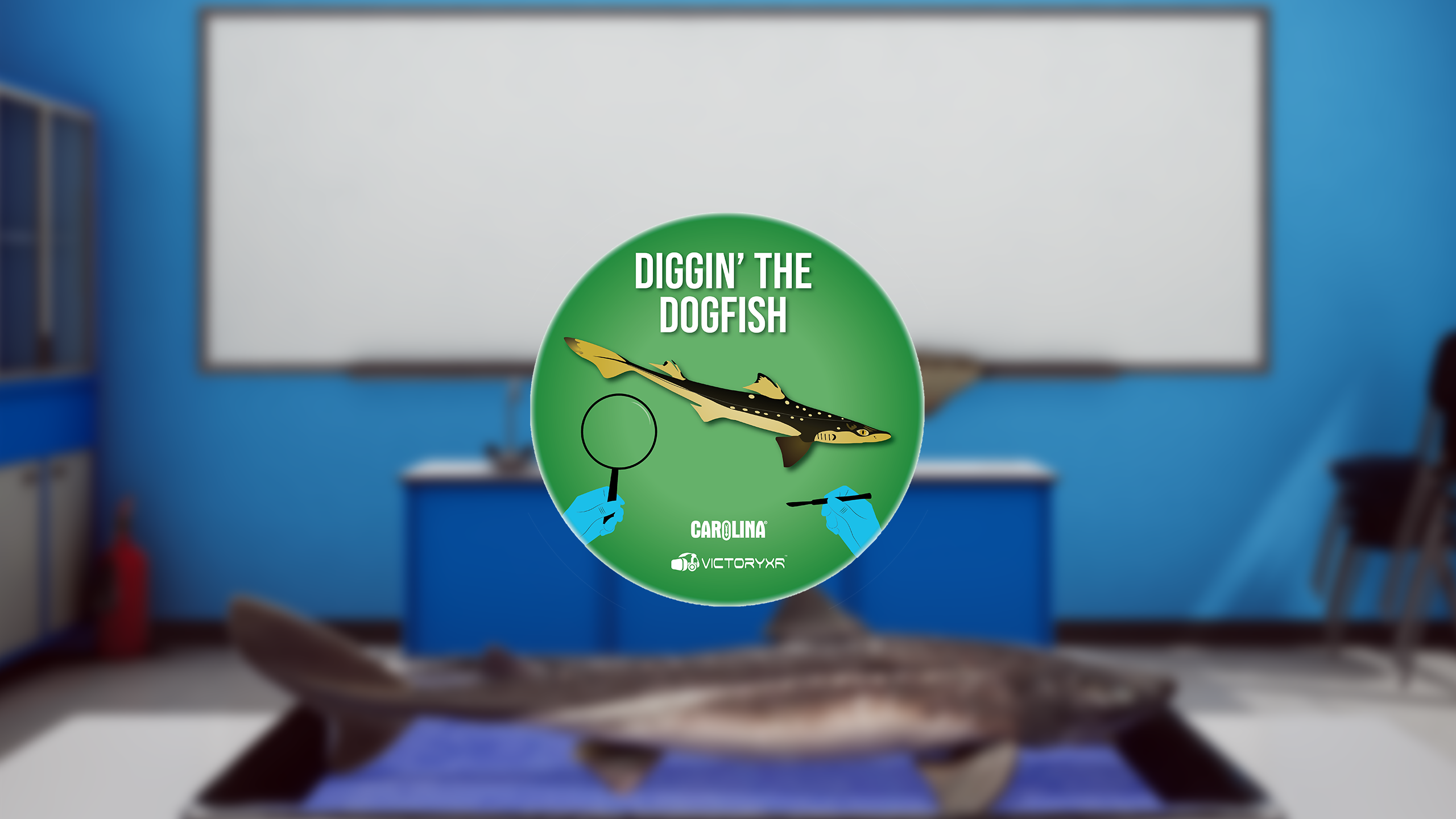 VR Dogfish Dissection: Diggin' the Dogfish