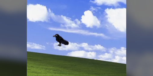 Cover image for Crow pet