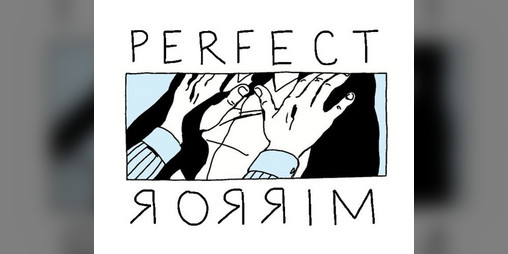 Cover image for perfect mirror