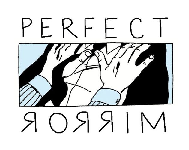 Cover image for perfect mirror