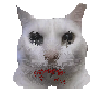 Cover image for Epic Cat Game 3: Walk Stranding