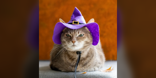 Cover image for Witch Cat Money Maker