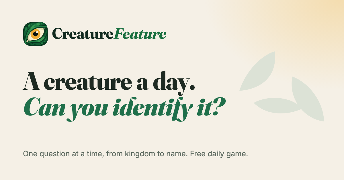CreatureFeature.gg