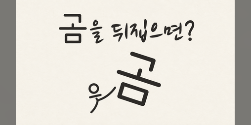 Cover image for If You Flip a Bear : A Hangul Puzzle - Demo