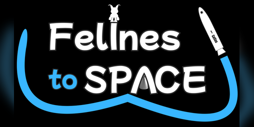 Cover image for Felines To Space (DEMO)