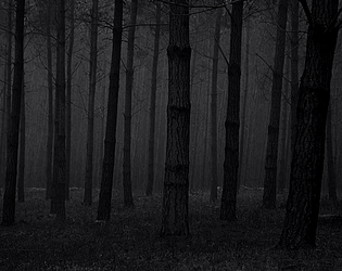 woods
