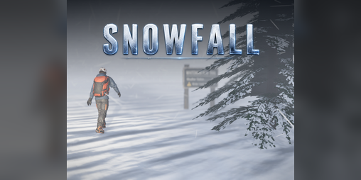 Cover image for SNOWFALL
