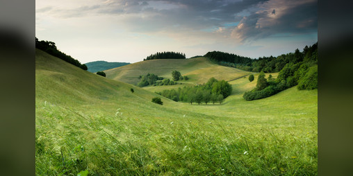 Cover image for Call of Nature