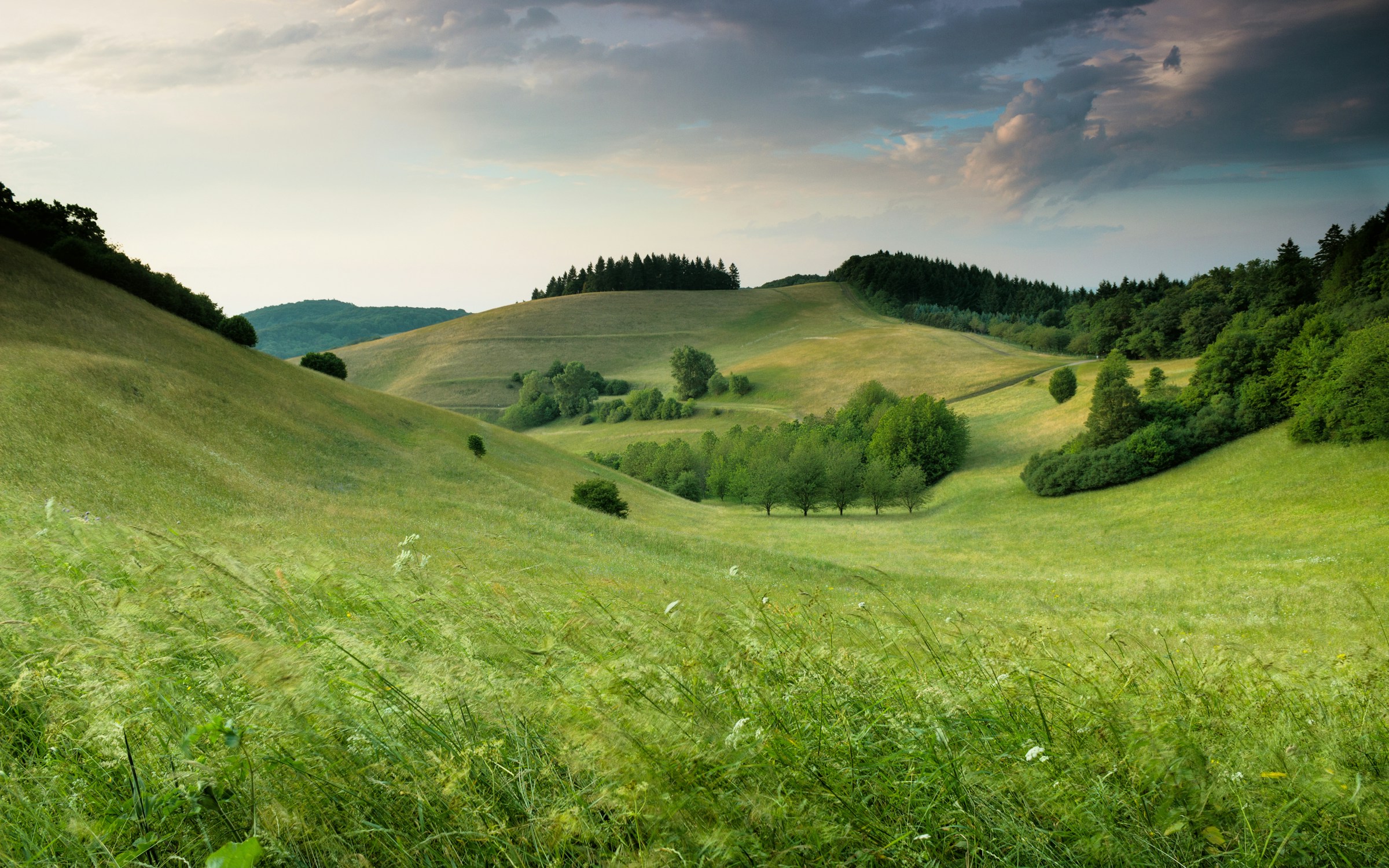 Cover image for Call of Nature