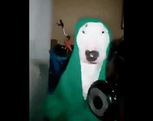 Walter 3D