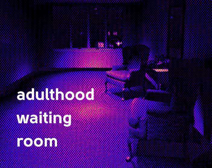 Cover image for Adulthood Waiting Room