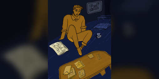 Cover image for VESTIGIO