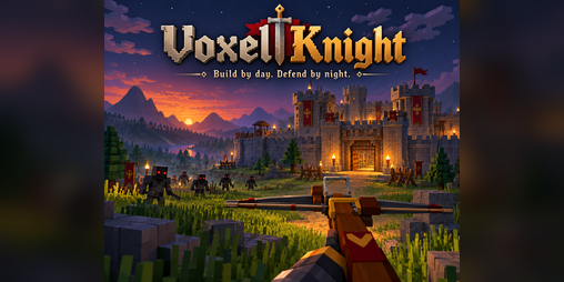 Cover image for Voxel Knight