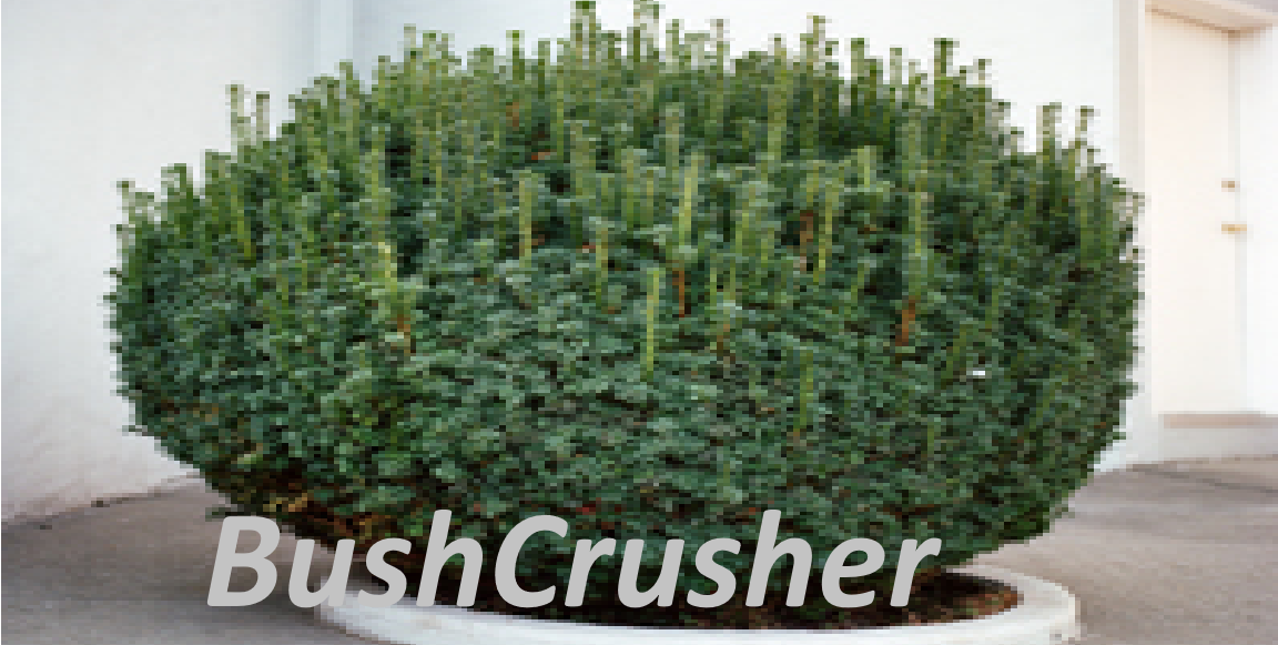 BushCrusher