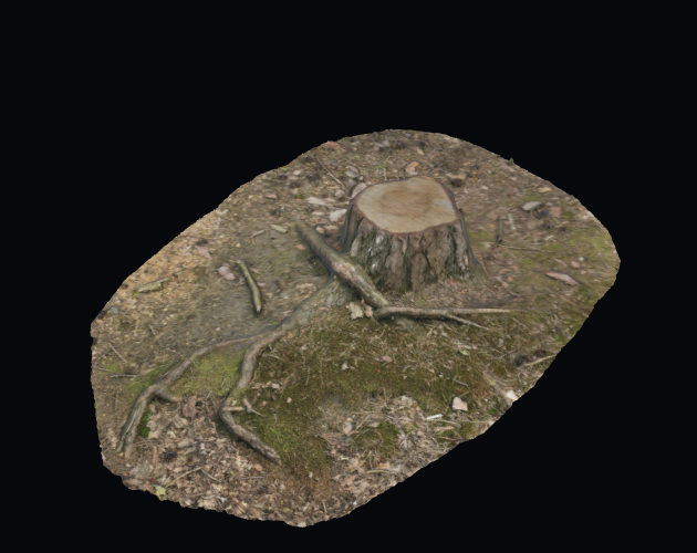 Tree Stump Color 3D Tree Stump 001 + Ground Patch | CC0 GLB by Eclair Assets