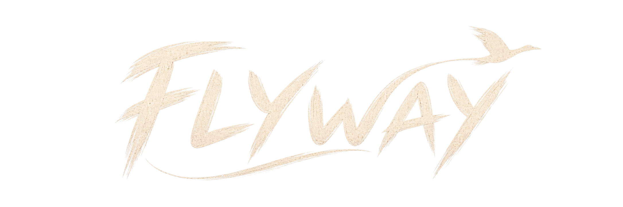 Flyway