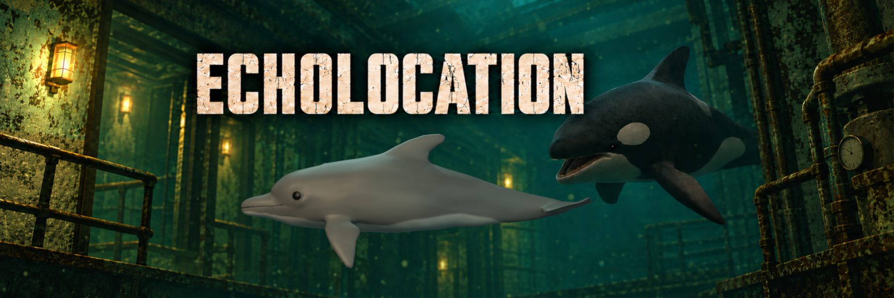 ECHOLOCATION