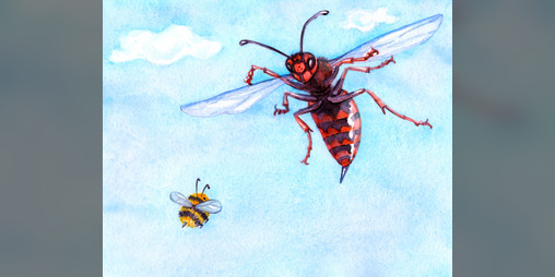 Cover image for Bee Gone