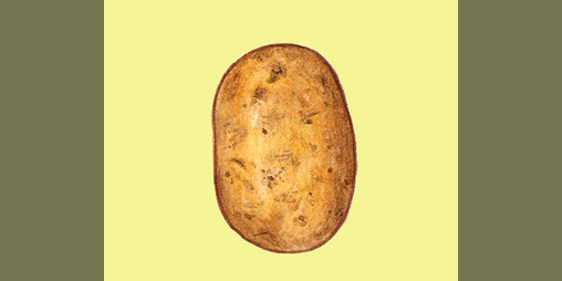 Cover image for Potato Game