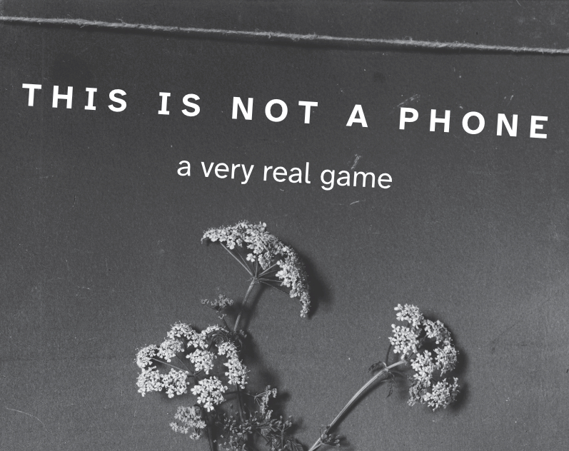 Cover image for This Is Not a Phone
