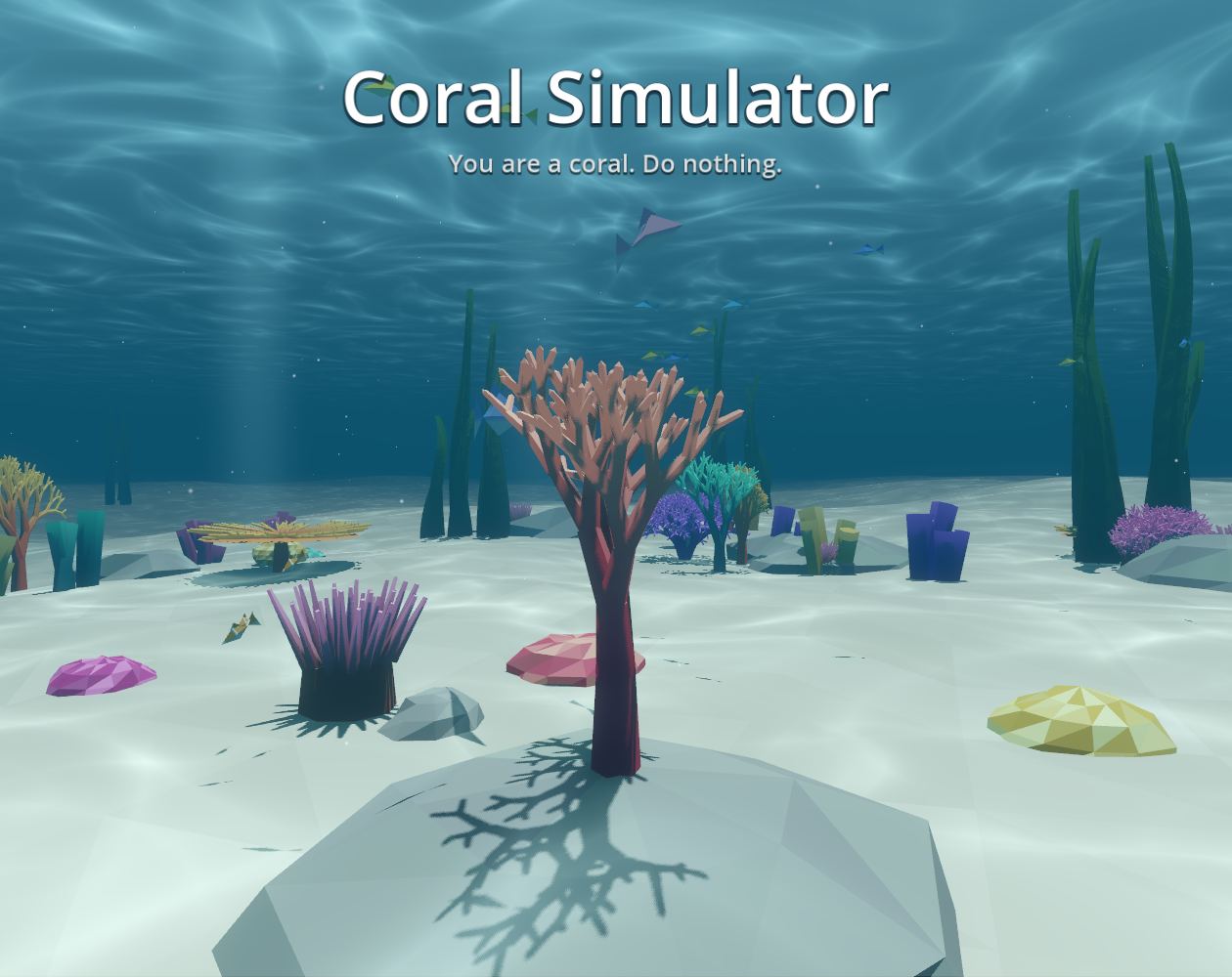 Cover image for Coral Simulator