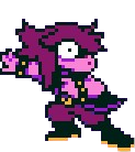 Cover image for Find the Susie