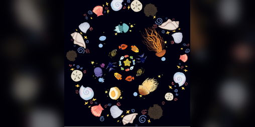 Cover image for Sea Jam