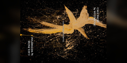 Cover image for Caul Pause