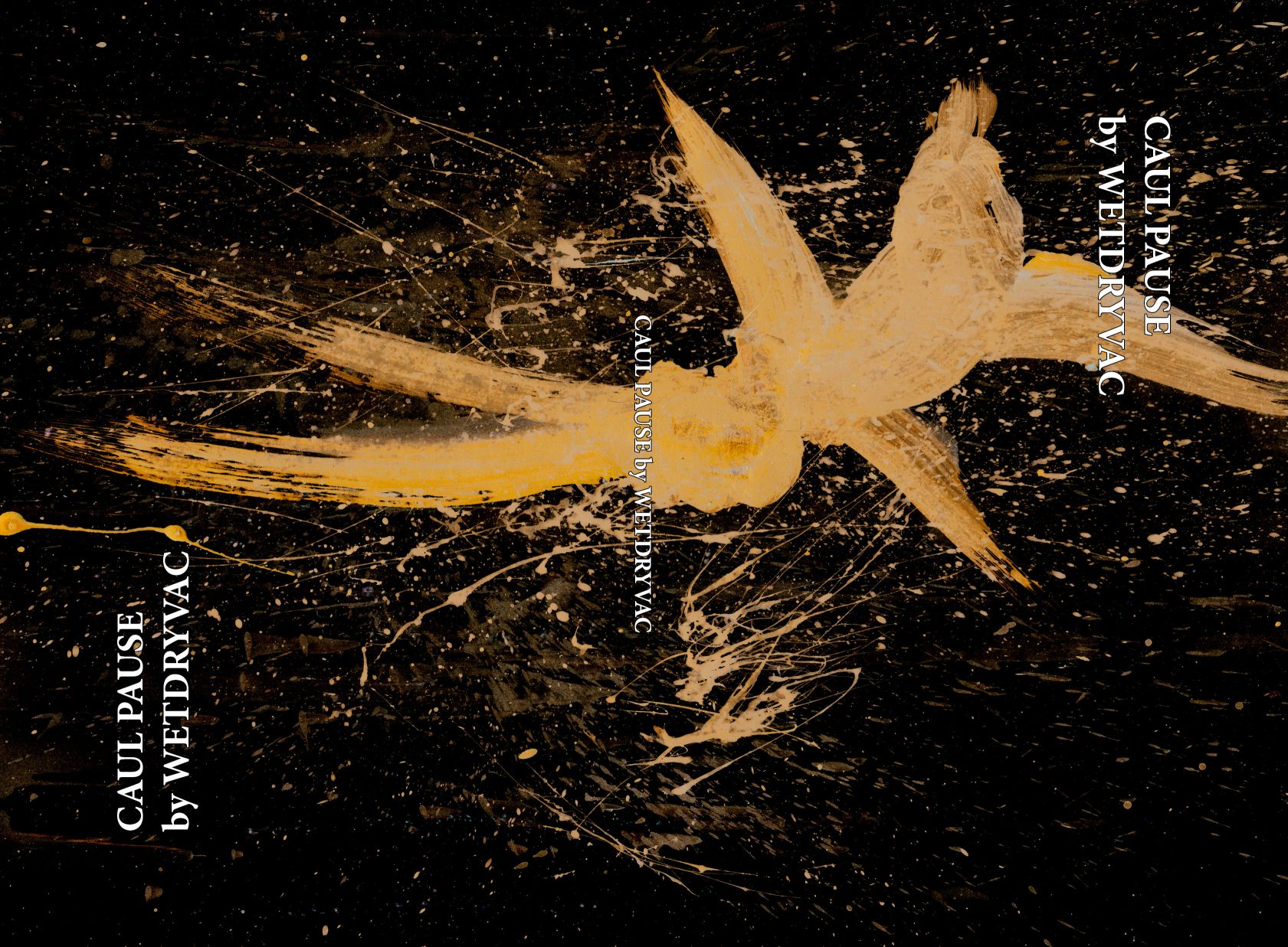 Cover image for Caul Pause
