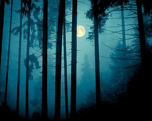 Forest haunt