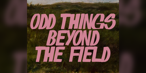 Cover image for Odd Things Beyond The Field