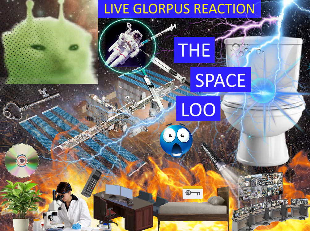 The Space Loo