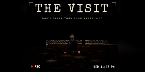 Cover image for THE VISIT