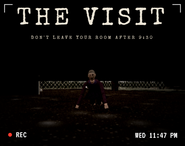 Cover image for THE VISIT