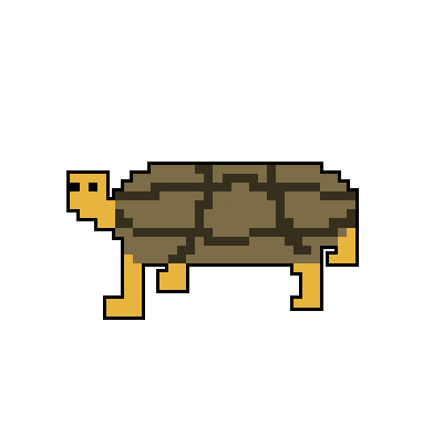 Cover image for Tortoise Lab