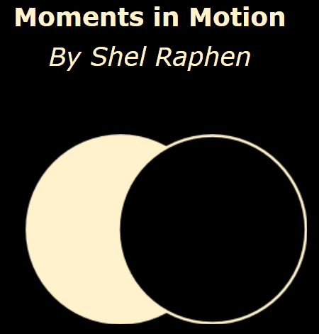 Cover image for Moments in Motion
