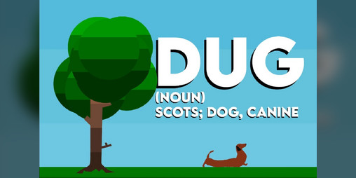 Cover image for DUG