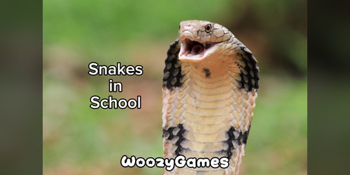 Cover image for Snakes in School