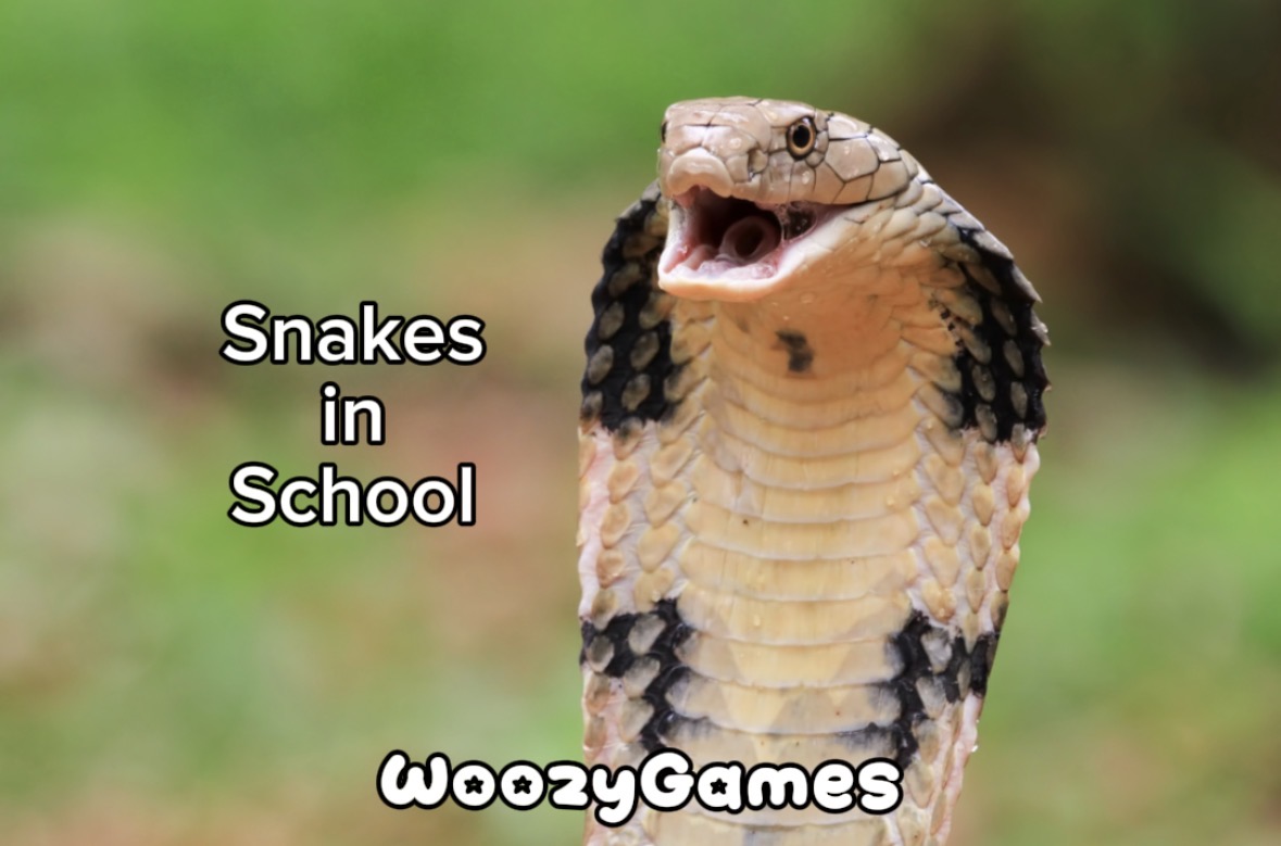 Cover image for Snakes in School