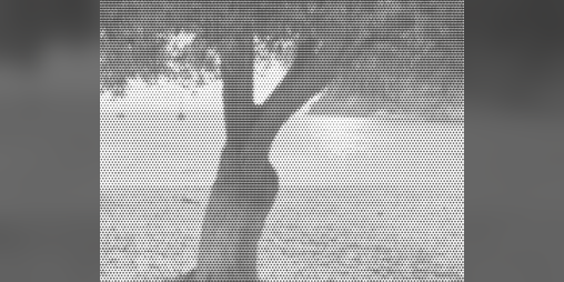 Cover image for Ithaque
