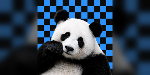 Cover image for redirect-to-janiito.com