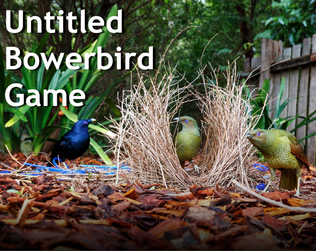 Untitled Bowerbird Game