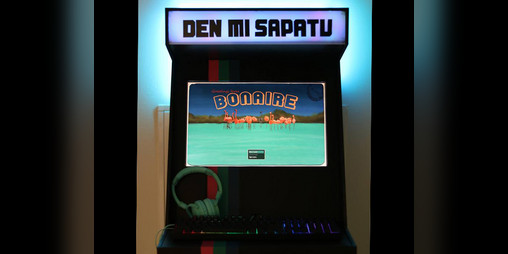 Cover image for Den Mi Sapatu